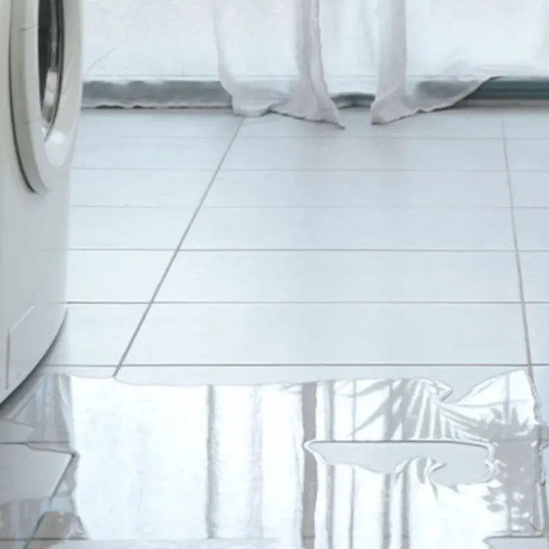 Appliance Leak Cleanup in Morton Grove, IL