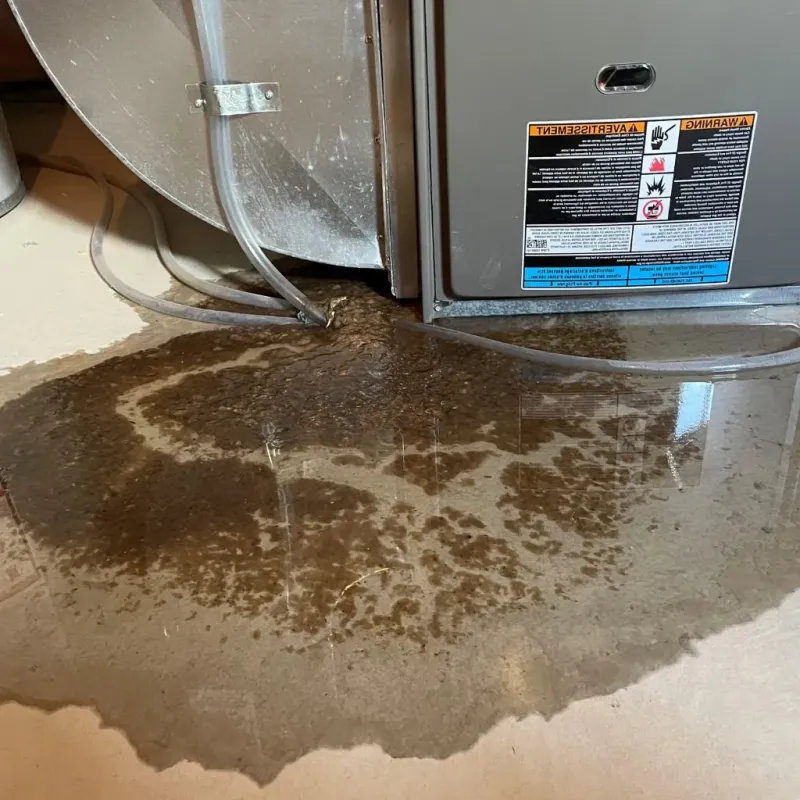Pipe Burst and Leak Restoration in Morton Grove, IL