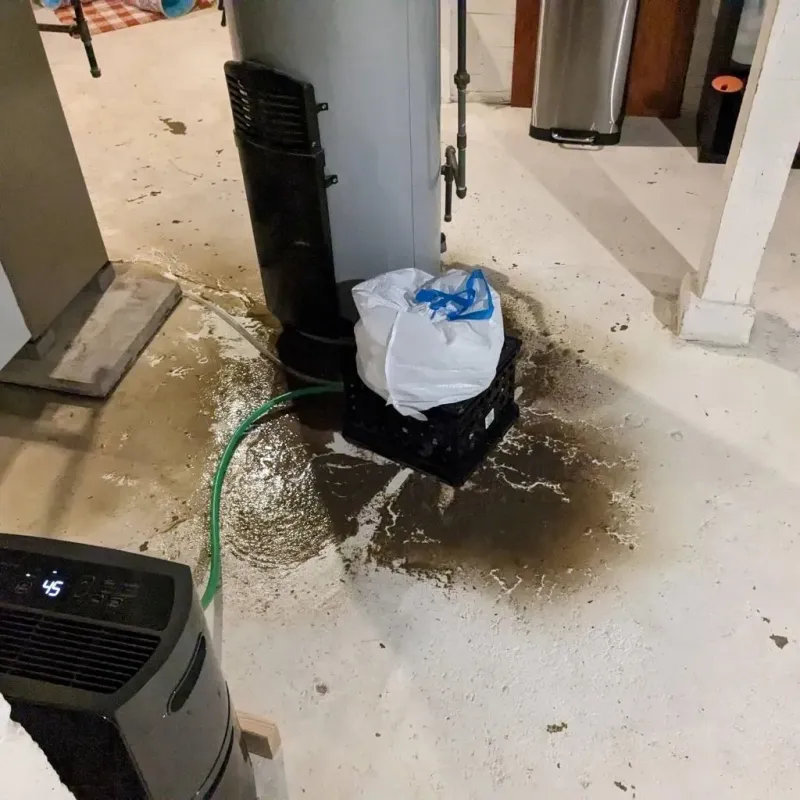 Sewage Backup Cleanup Service in Morton Grove, IL
